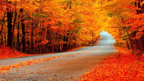 wallpaper pictures of fall|fall high resolution widescreen wallpaper.